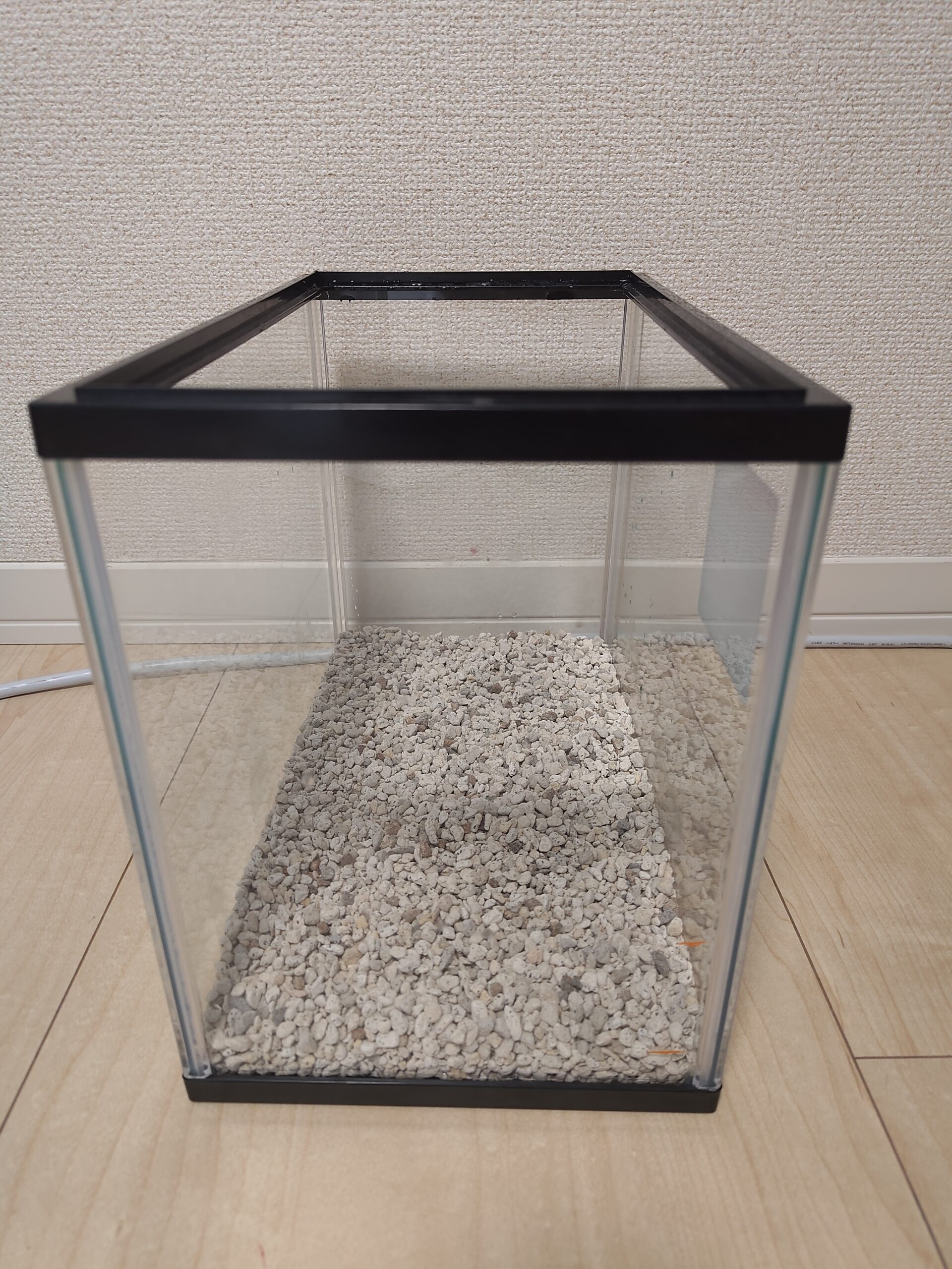 ケースの底に軽石を敷いた状態