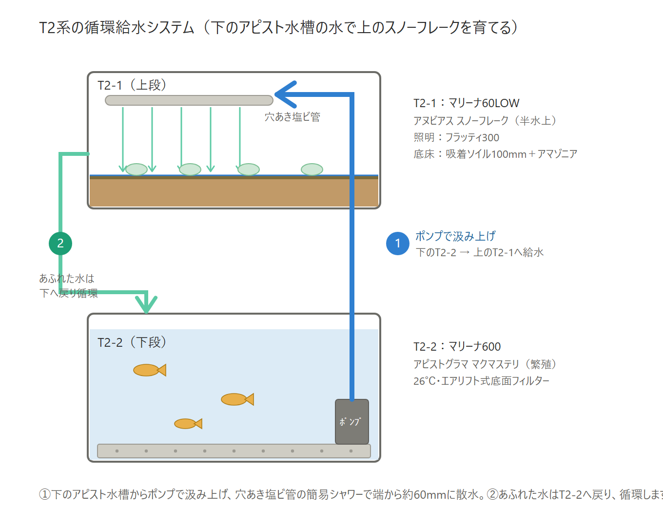 T2系の循環給水システムの断面図。下のアピスト水槽からポンプで汲み上げ、穴あき塩ビ管の簡易シャワーでスノーフレークに散水し、あふれた水は下へ戻って循環する