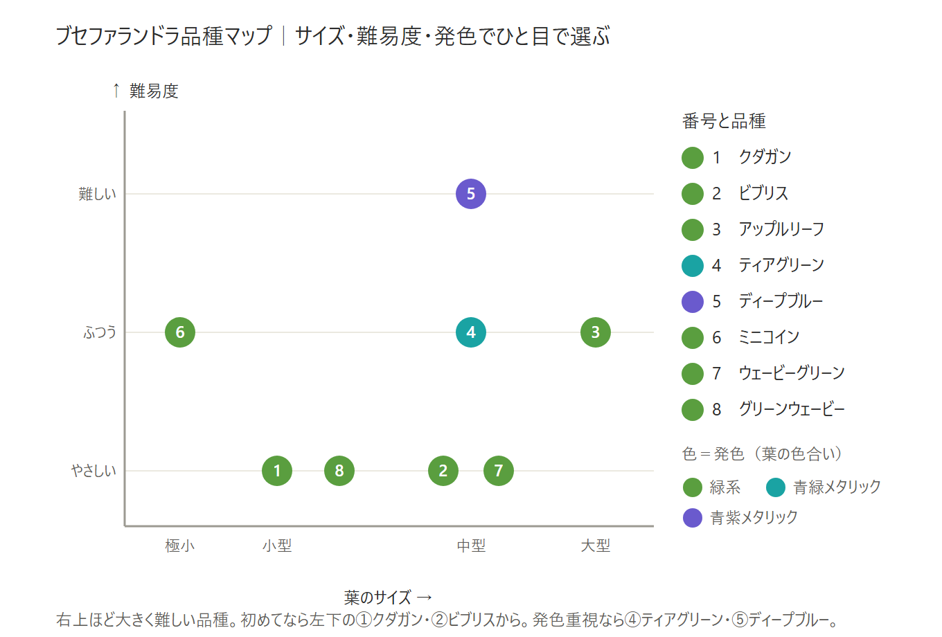 ブセファランドラ品種マップ。横軸が葉のサイズ、縦軸が難易度、色が発色(緑系・青緑メタリック・青紫メタリック)。初心者向けは左下のクダガン・ビブリス、発色重視は青緑のティアグリーン・青紫のディープブルー